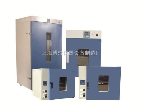 DHG-9240A立式250度鼓風(fēng)干燥箱 通用設(shè)備制造中的全能老化與烘烤專家